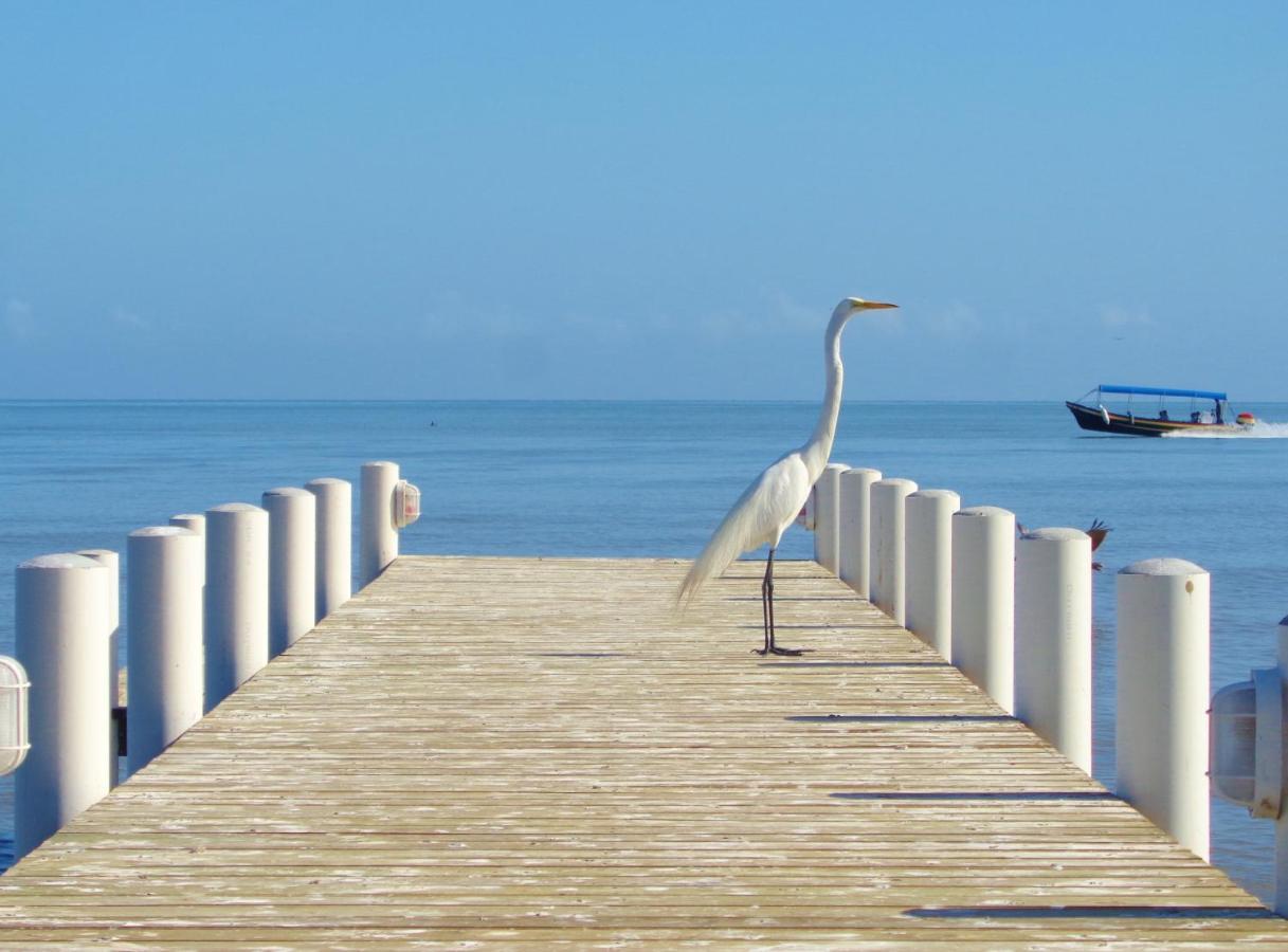 Livingston Resort Hotel Εξωτερικό φωτογραφία